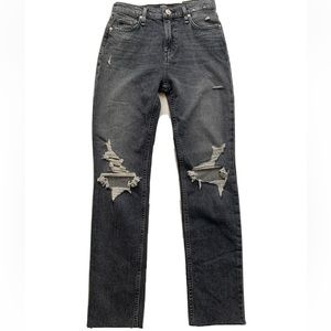 Hudson Holly High Rise Straight Jeans NWT